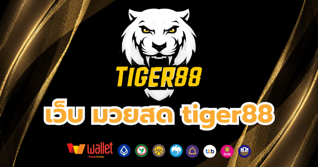 tiger88-บทความ1